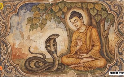Compassion and Wisdom in Buddhism: The Inseparable Path to True Freedom