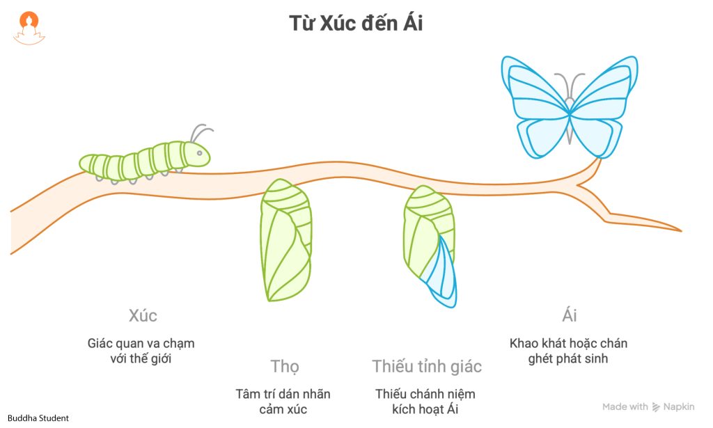 cơ chế hoạt động tham ái 
